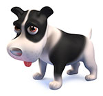 
Private Behavioural Consultations - From A Dog's View